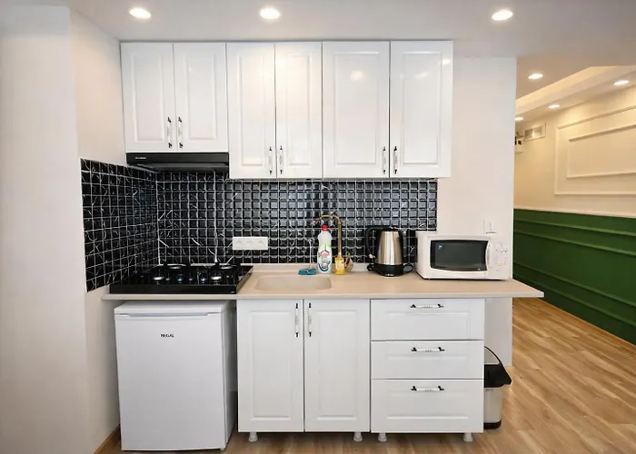 Valentina 公寓式酒店 伊斯坦布尔